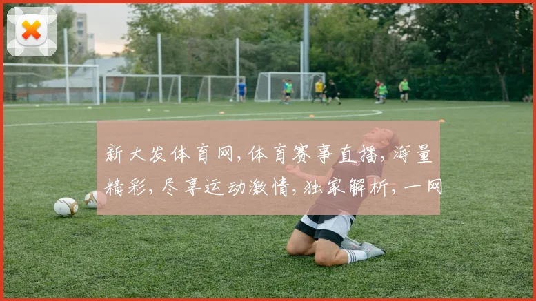 新大发体育网,体育赛事直播,海量精彩,尽享运动激情,独家解析,一网打尽