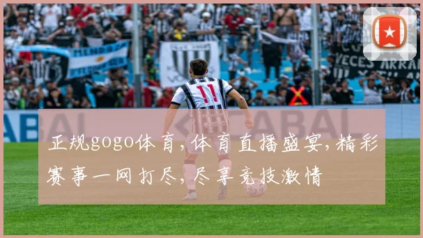 正规gogo体育,体育直播盛宴,精彩赛事一网打尽,尽享竞技激情