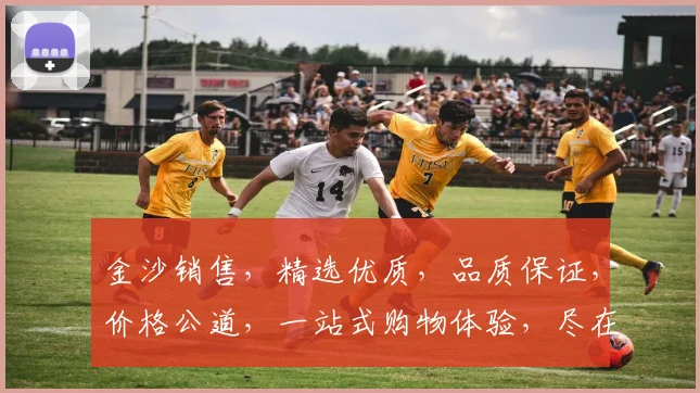 金沙销售，精选优质，品质保证，价格公道，一站式购物体验，尽在金沙商城